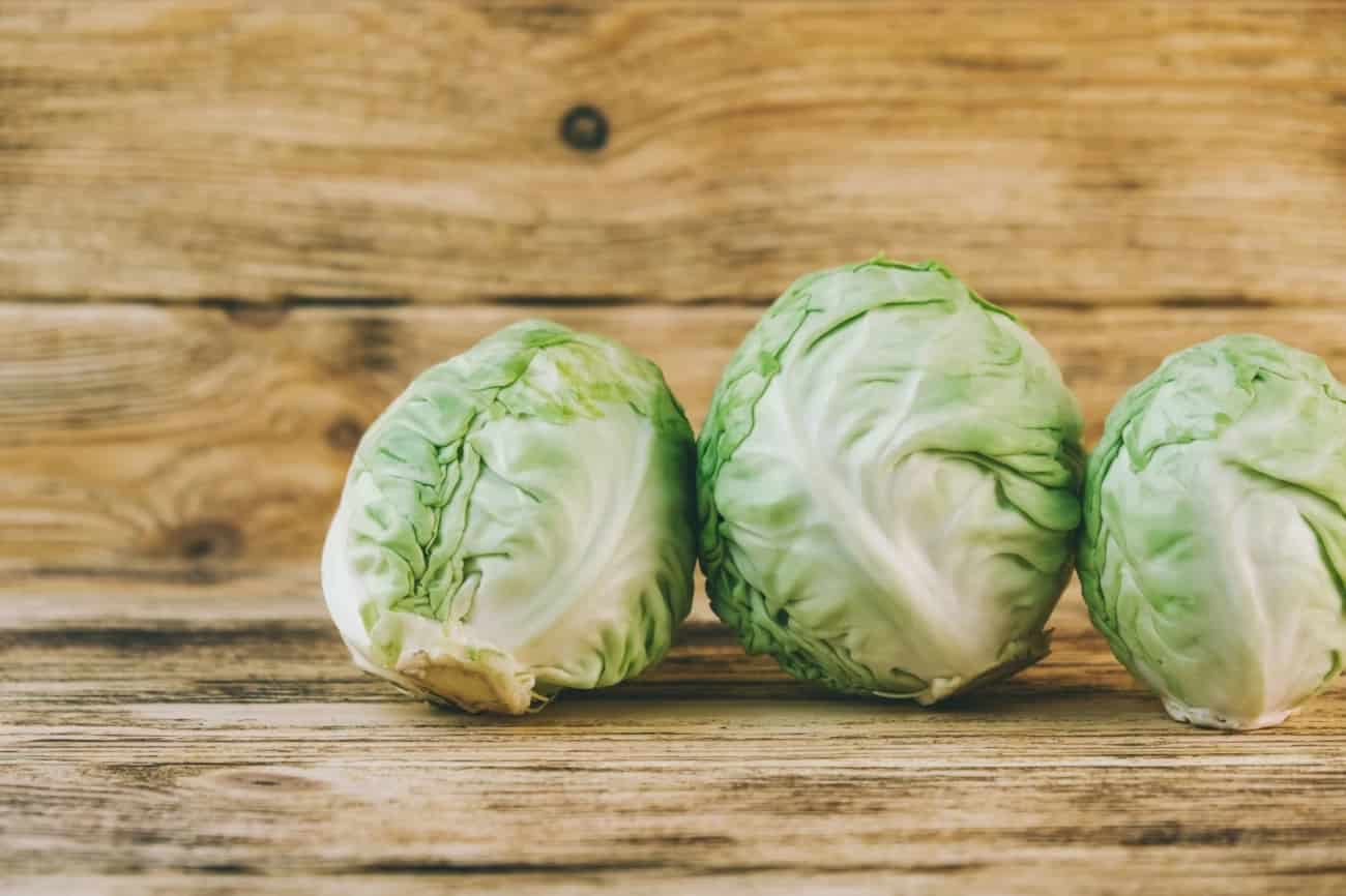 تصویر 4 از خرید کلم پیچ سبز + قیمت فروش استثنایی